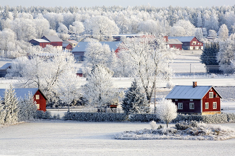 _MG_4522dec2007 copy