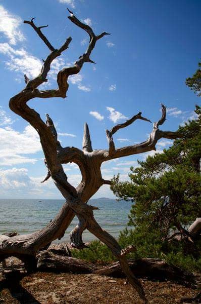 7D89CA57-238C-4801-9B37-1D71A2B00927