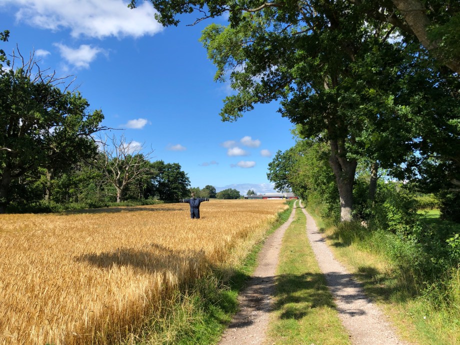 E5604586-D31E-4D01-9A50-51B828D74B86